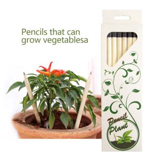 環保可種植鉛筆(種子筆)